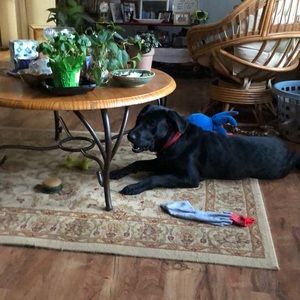 Meet your Posher, Barabara